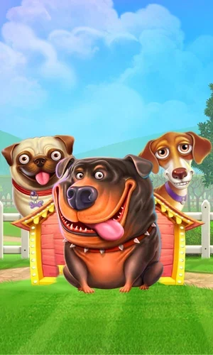 The Dog House slot by Pragmatic Play at Olymp Win